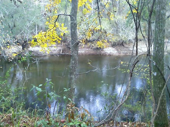 Ochlockonee River II